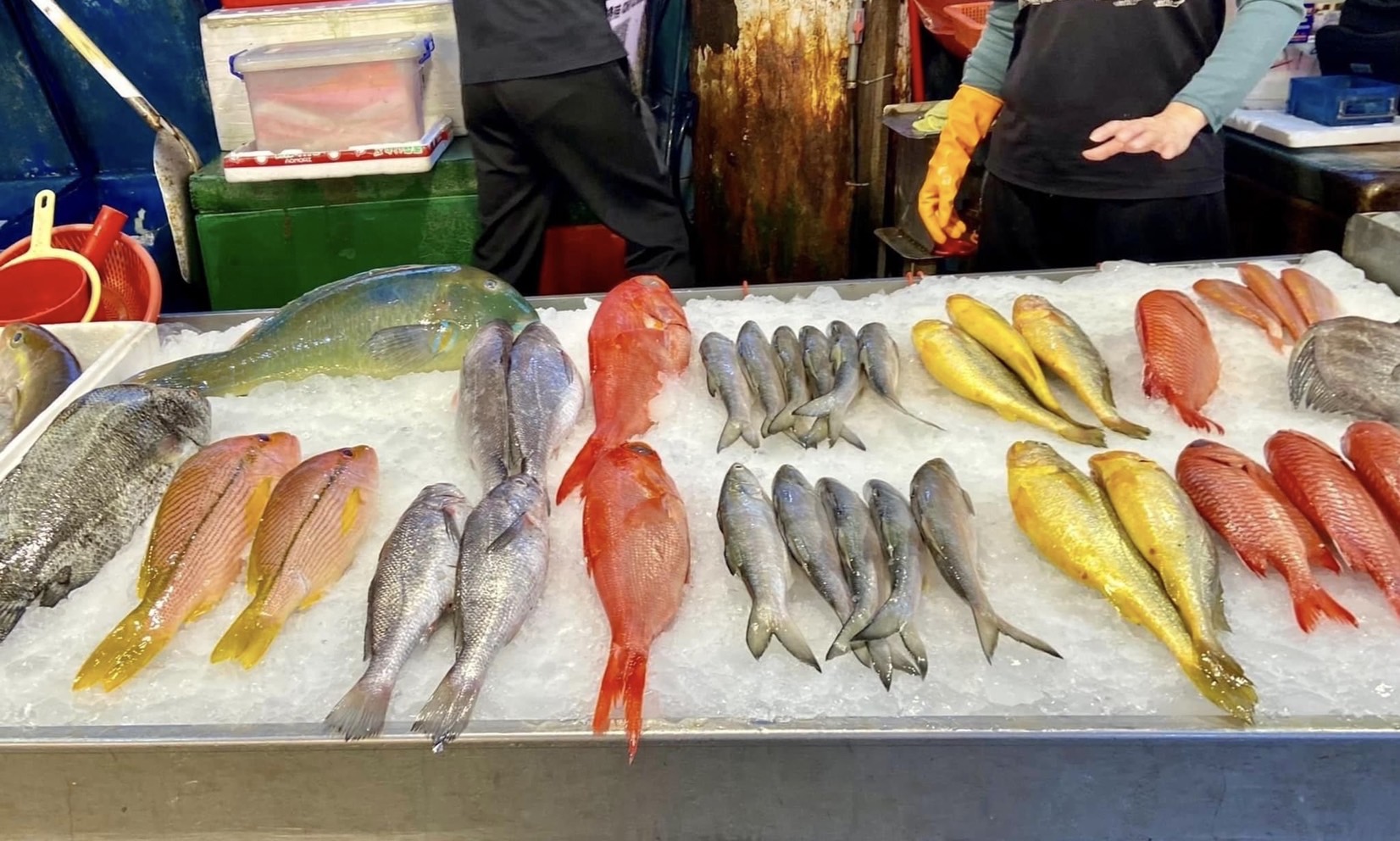 朱亞君 做為 偽魚販指南 出版人的內心話 I Media 愛傳媒