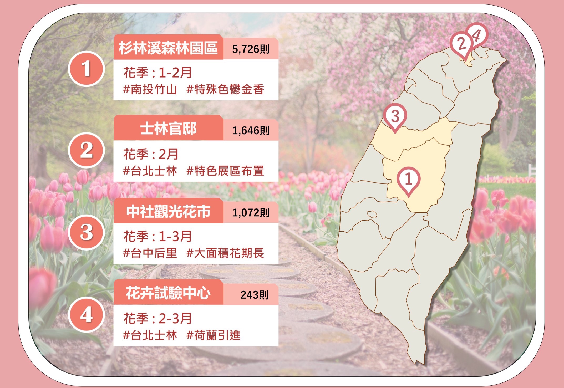 鬱金香花海在台灣   ４大繽紛景點出爐