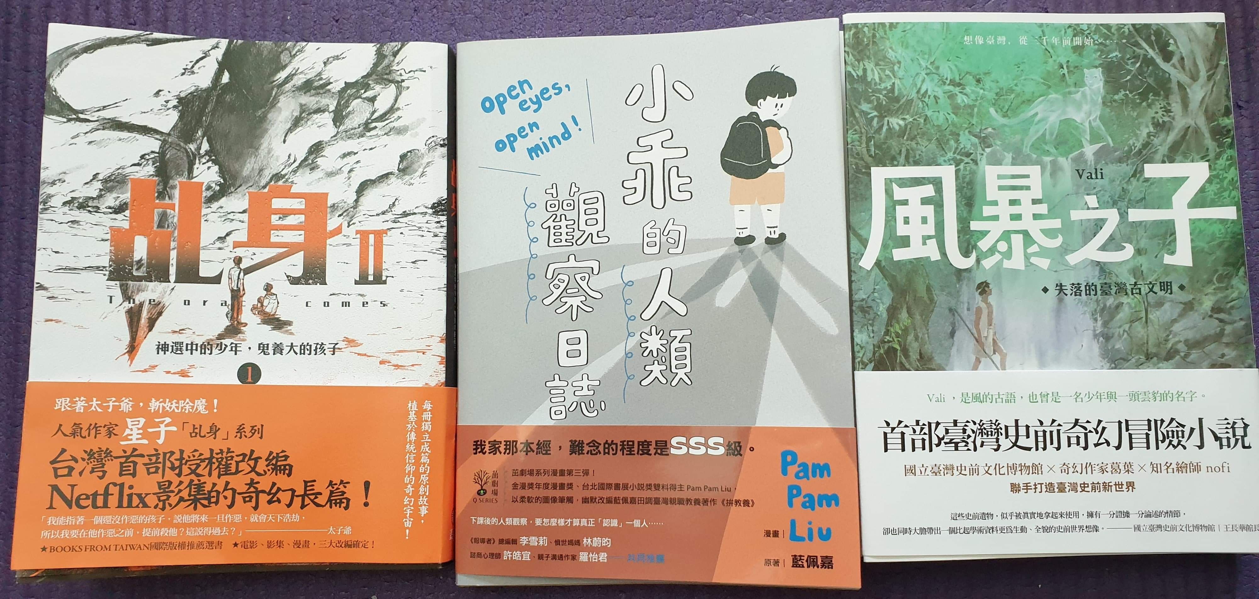 黃愛真》國際書展裡的「問題少年」與「大人問題」