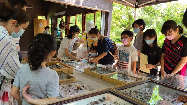 大高雄生態嘉年華登場  歡迎來鳥松濕地體驗